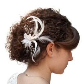 Horquillas de Novia Flor y Cristales